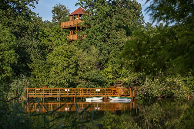 Erzsébet Ligeti Lombkorona Sétány és Kilátó