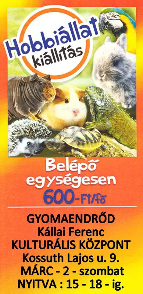 Hobbiállat kiállítás