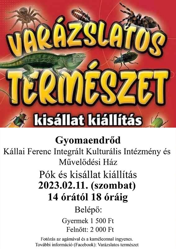 Varázslatos természet kisállat kiállítás