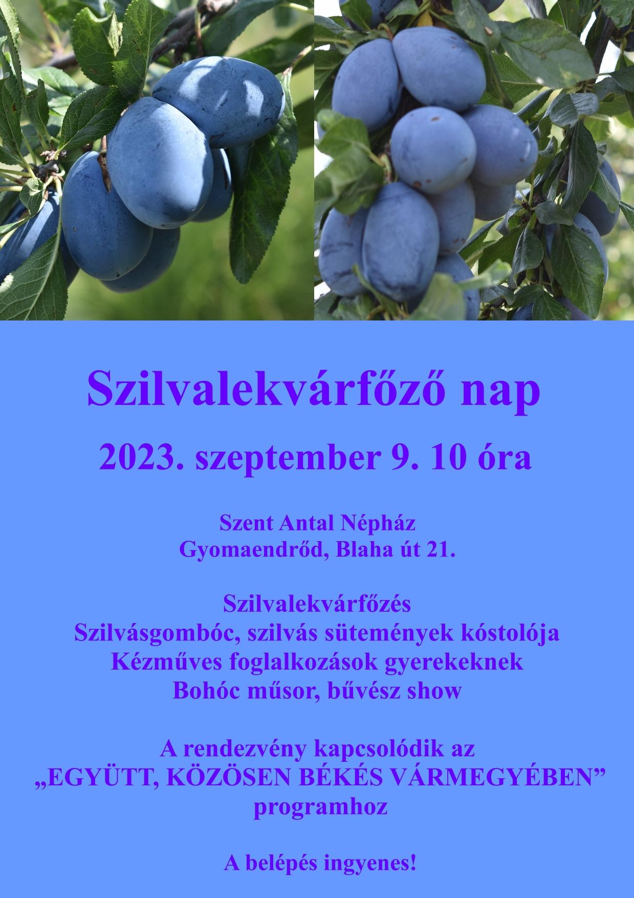 Szilvalekvárfőző nap