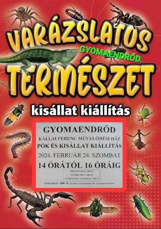 Varázslatos természet kisállat kiállítás