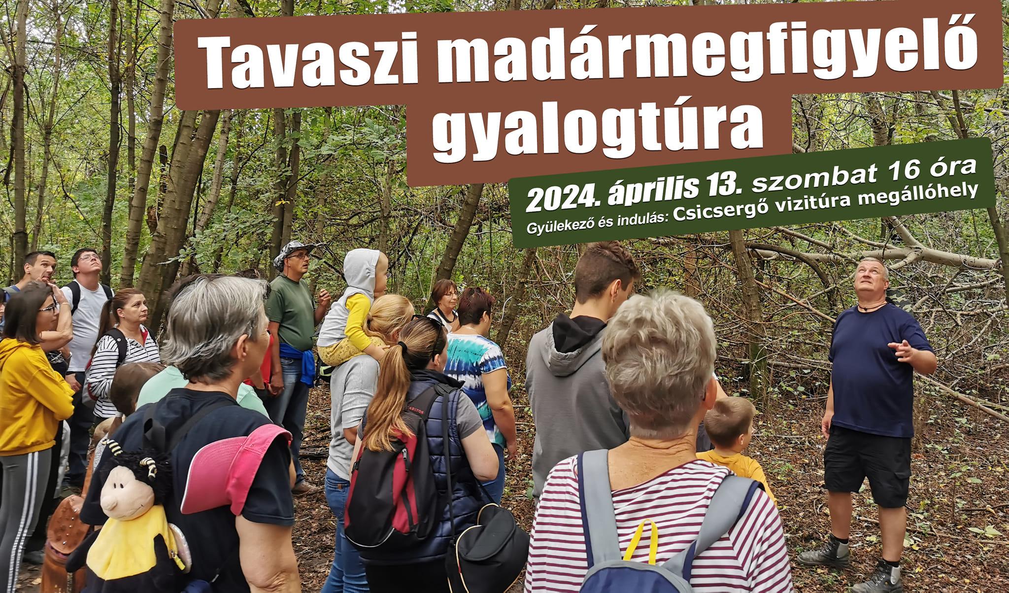 Tavaszi madármegfigyelő gyalogtúra