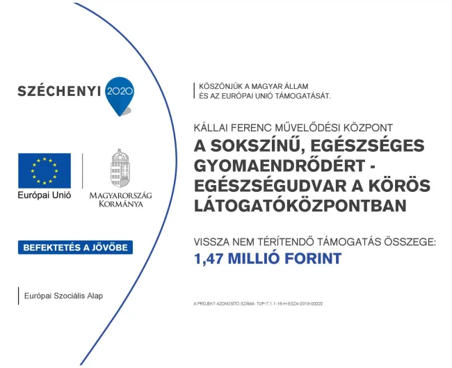 TOP-7.1.1-16-H-ESZA-2019--00222-A Sokszínű, Egészséges Gyomaendrődért - Egészségudvar a Körös Látogatóközpontban 